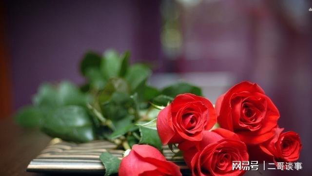 半路夫妻离婚后矛盾_半路夫妻冷战怎么办_因为吵架离婚的夫妻