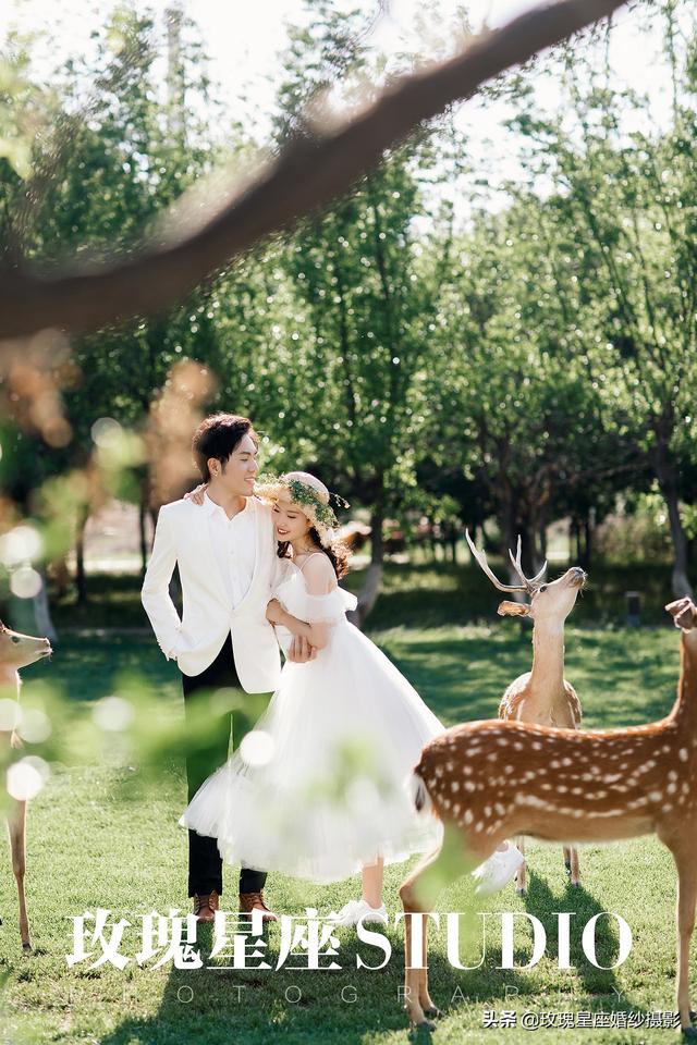 婚礼场景宫殿婚纱照_宫殿婚纱婚礼照场景图片_宫殿婚纱婚礼照场景图