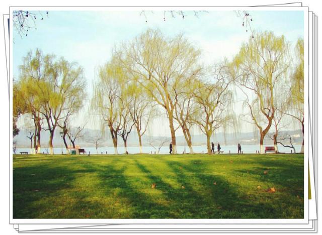 婚纱庭院景照内容怎么写_婚纱照好看花园背景图_婚纱照内景庭院