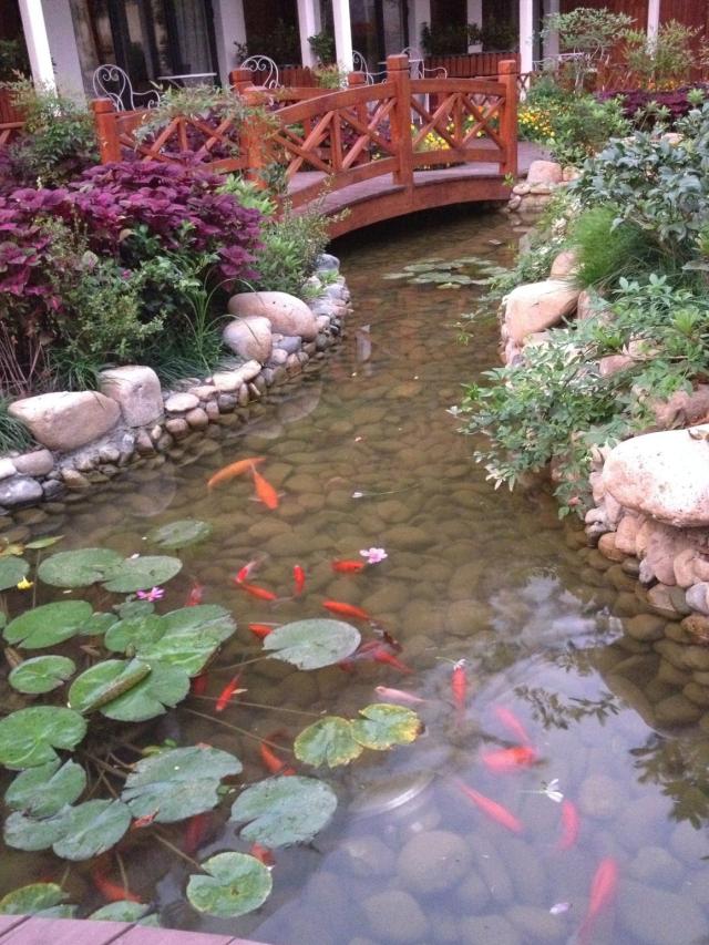 婚纱照内景庭院_婚纱照好看花园背景图_婚纱庭院景照内容怎么写