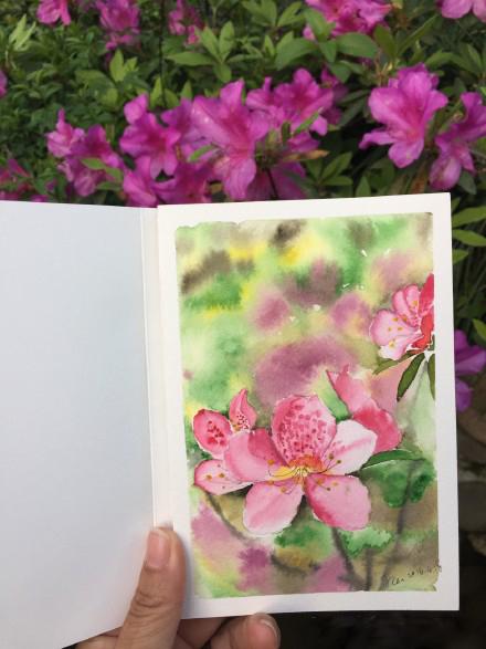 婚纱庭院景照内容怎么写_婚纱照好看花园背景图_婚纱照内景庭院