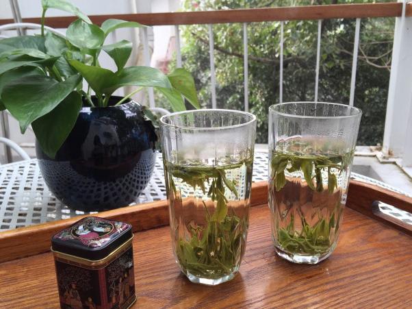 婚纱照好看花园背景图_婚纱照内景庭院_婚纱庭院景照内容怎么写