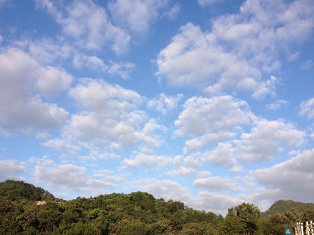 婚纱庭院景照内容怎么写_婚纱照内景庭院_婚纱照好看花园背景图