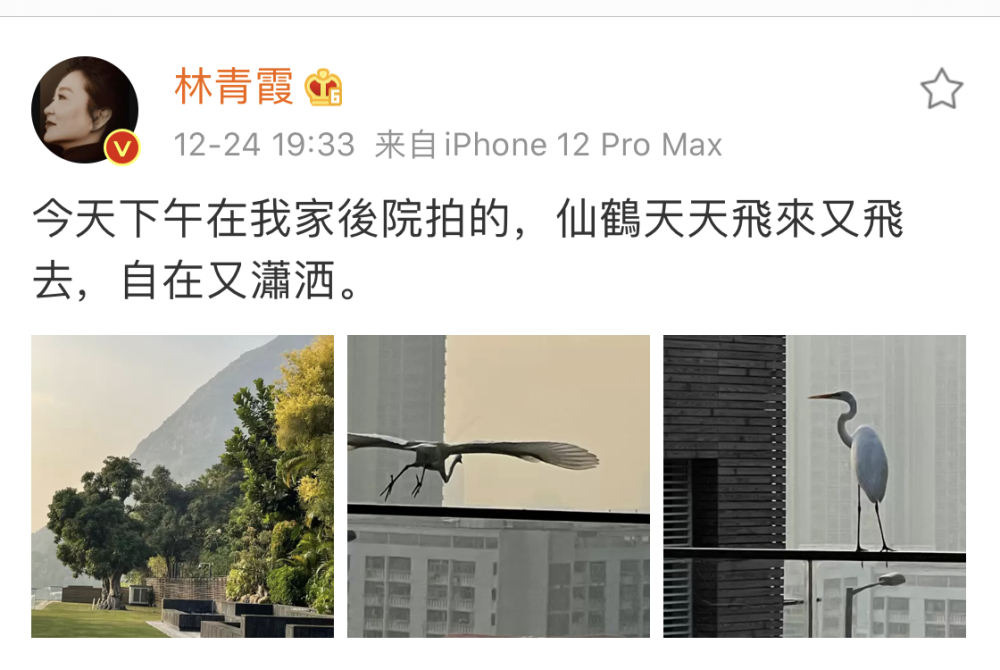 婚纱庭院景照内景图片_婚纱照好看花园背景图_婚纱照内景庭院