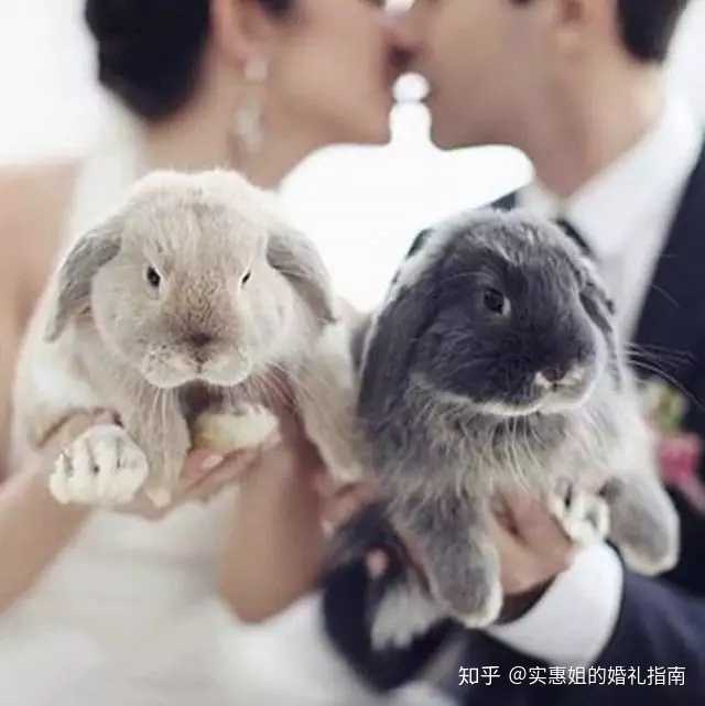 婚纱新娘卡通图片_新娘婚纱照表情包可爱图片_婚纱可爱头像