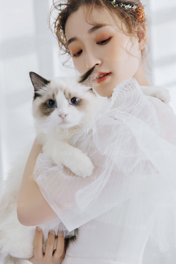 婚纱照要拍几套内景_拍婚纱照套系选择_婚纱照内景一般拍几套